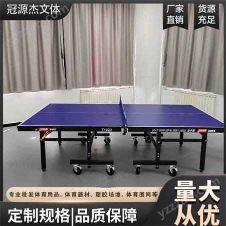 室内乒乓球台 比赛用 家用可移动 可折叠球台 冠源杰
